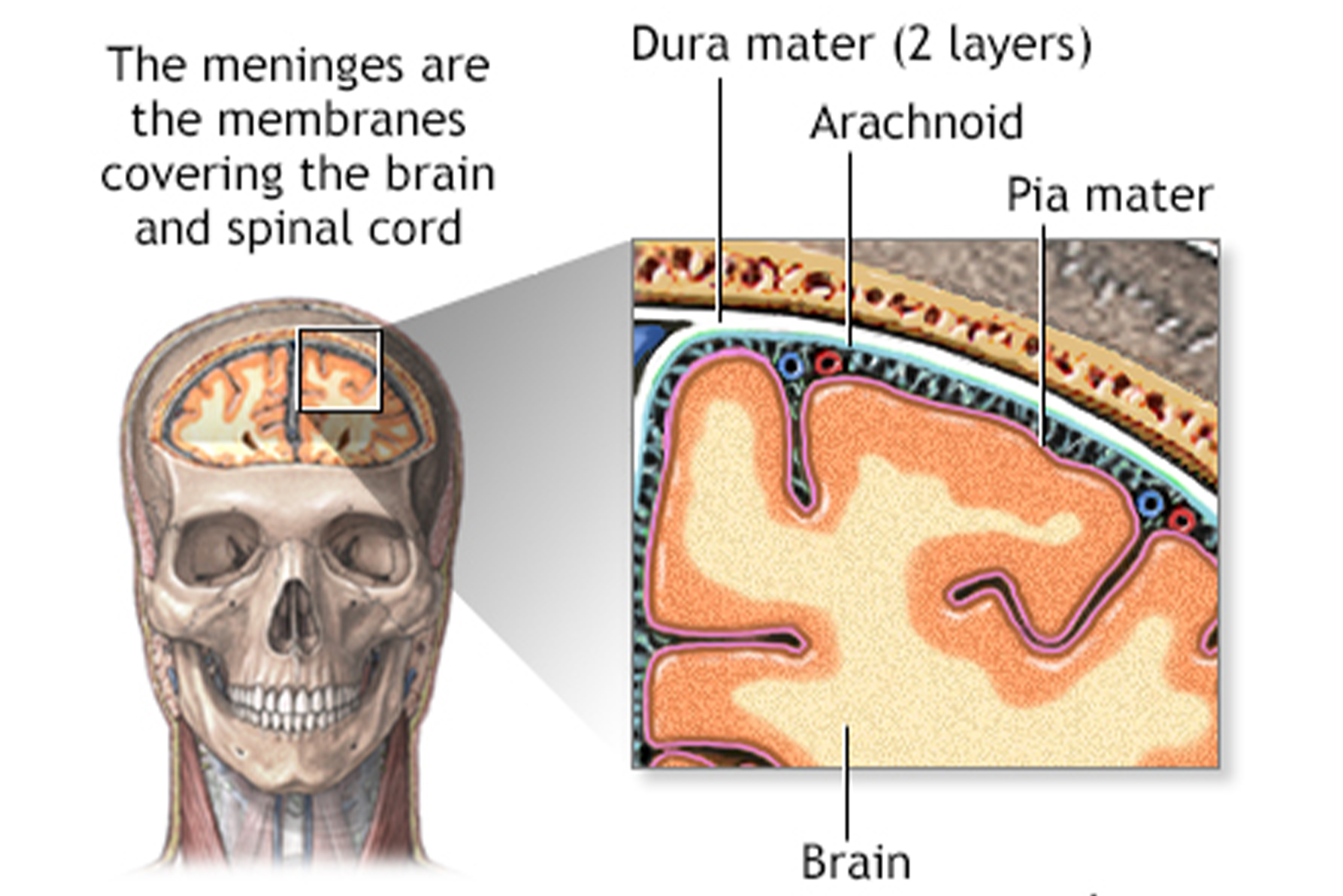doctor images